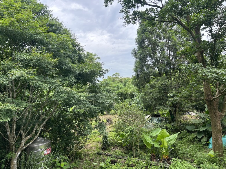 比百岳石門山更難的小百岳-桃園石門山步道
