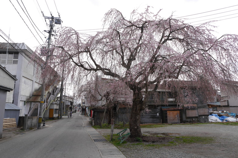 9年前的東京自助行 日本東北行 2