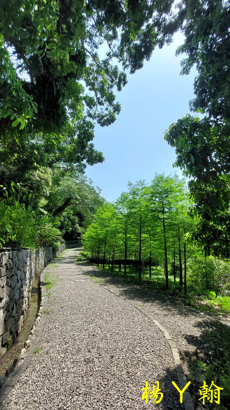 【郊山走走】烏來蝴蝶公園消暑愜意、輕鬆健行溪瀧步道、古圳步道