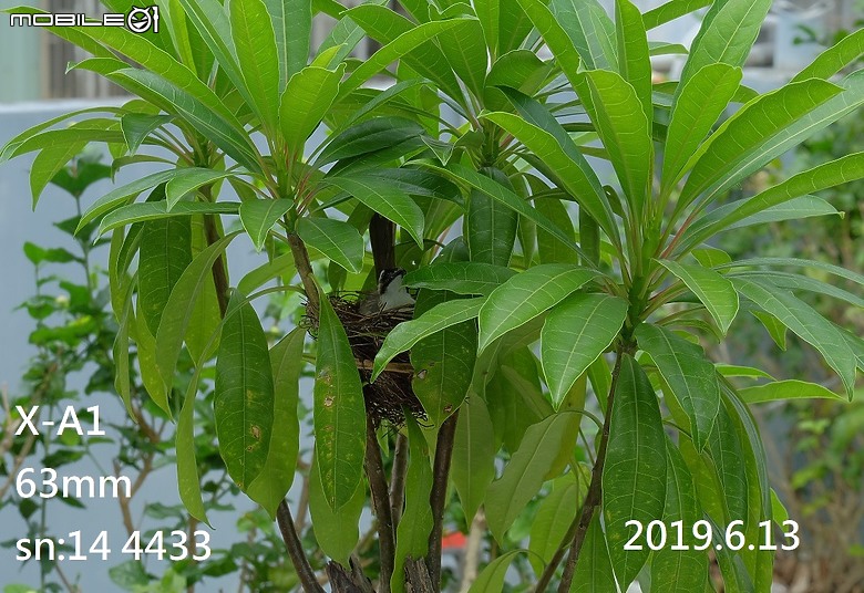 點我看大圖