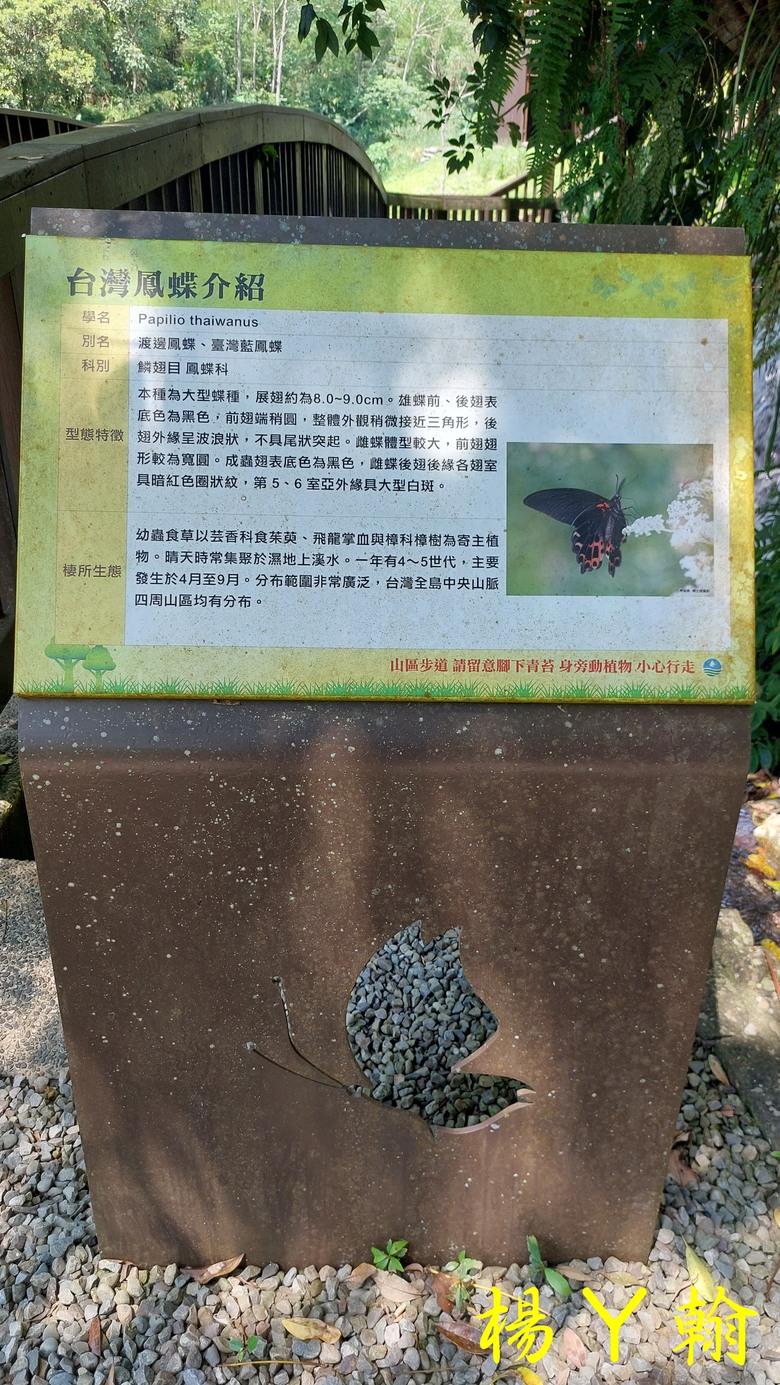 【郊山走走】烏來蝴蝶公園消暑愜意、輕鬆健行溪瀧步道、古圳步道