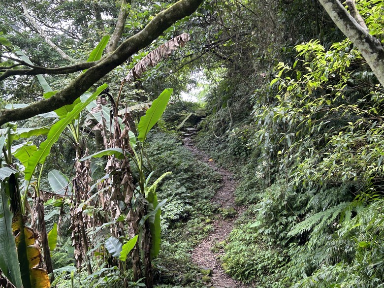 比百岳石門山更難的小百岳-桃園石門山步道