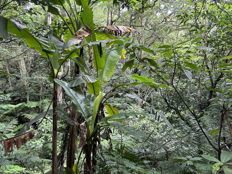 比百岳石門山更難的小百岳-桃園石門山步道
