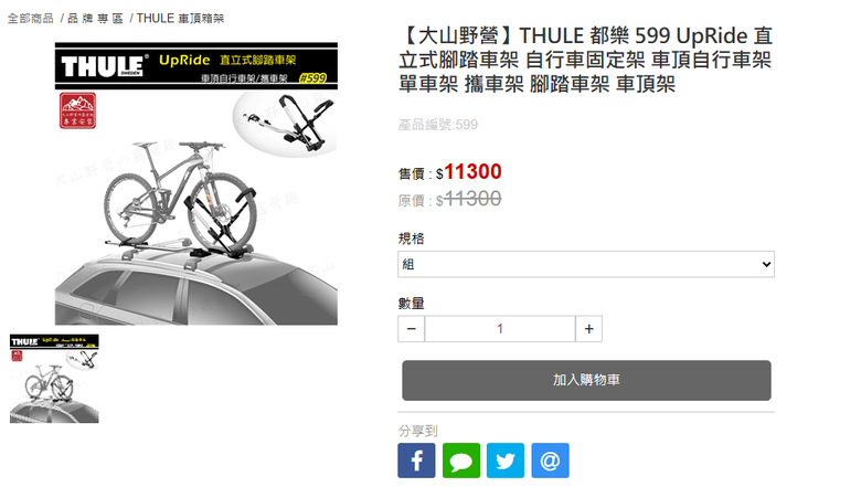 經驗分享|多品牌車頂式自行車架推薦