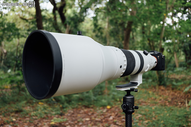 Sigma 300-600mm f/4 DG OS Sports 評測報告|超望遠內變焦新標竿、一鏡封神誰與爭鋒!