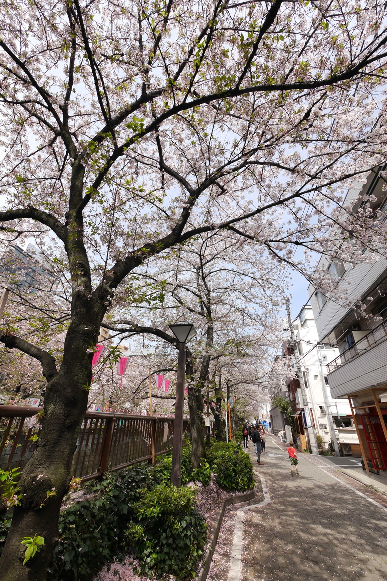 9年前的東京自助行 1