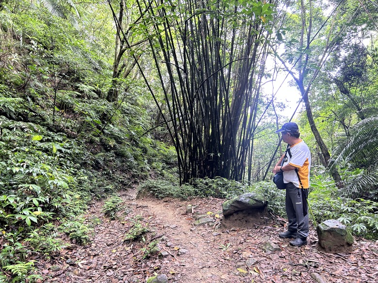 比百岳石門山更難的小百岳-桃園石門山步道