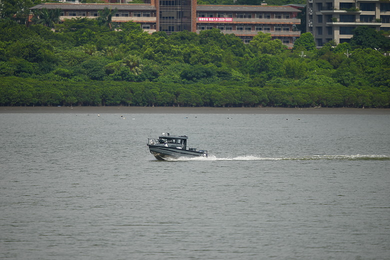 點我看大圖 Sigma 300-600mm f/4 DG OS Sports 評測報告|超望遠內變焦新標竿、一鏡封神誰與爭鋒!