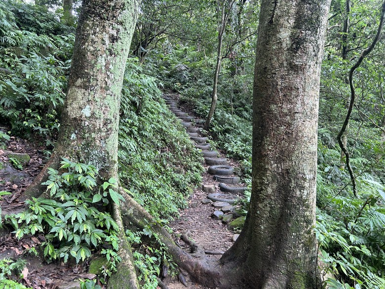 比百岳石門山更難的小百岳-桃園石門山步道
