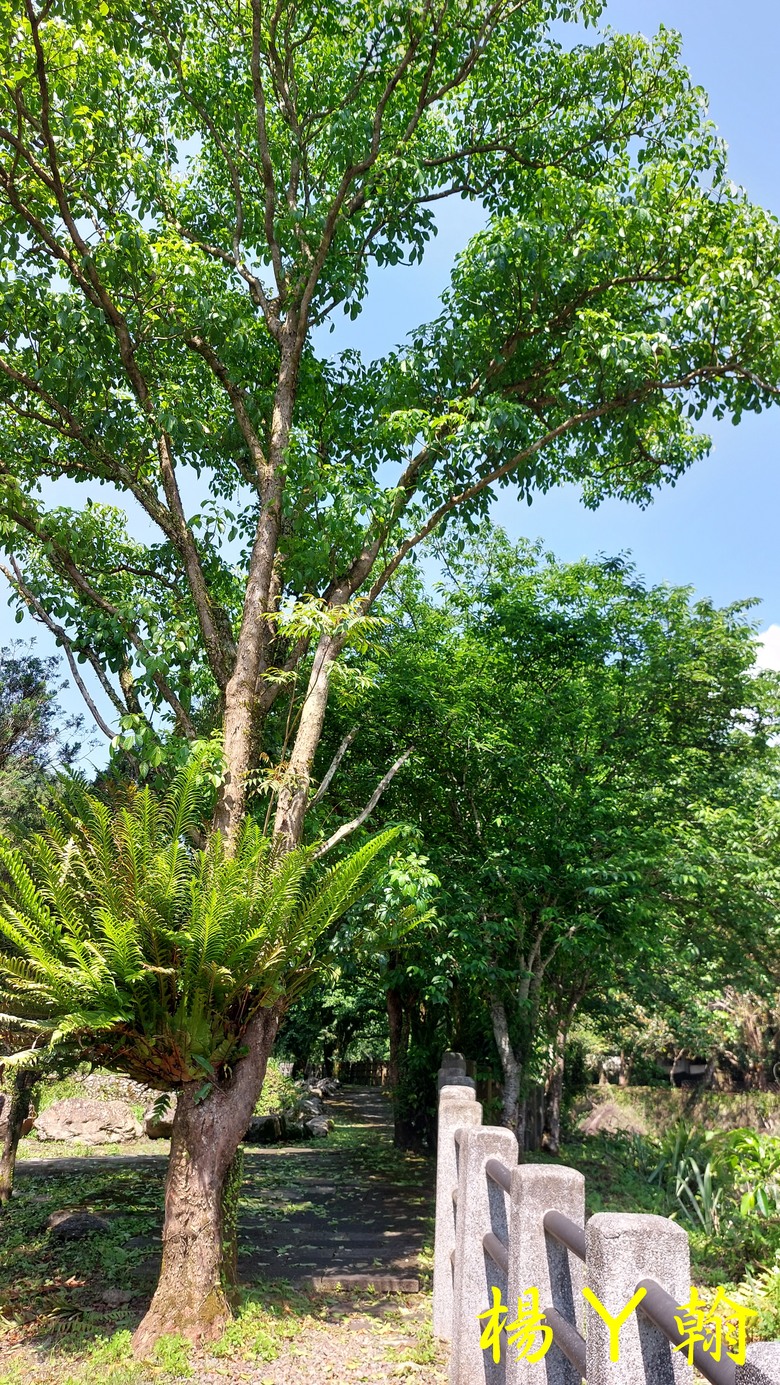 【郊山走走】烏來蝴蝶公園消暑愜意、輕鬆健行溪瀧步道、古圳步道