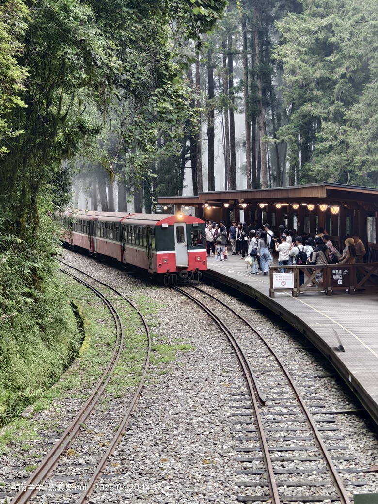 阿里山旅居 啟示與反思