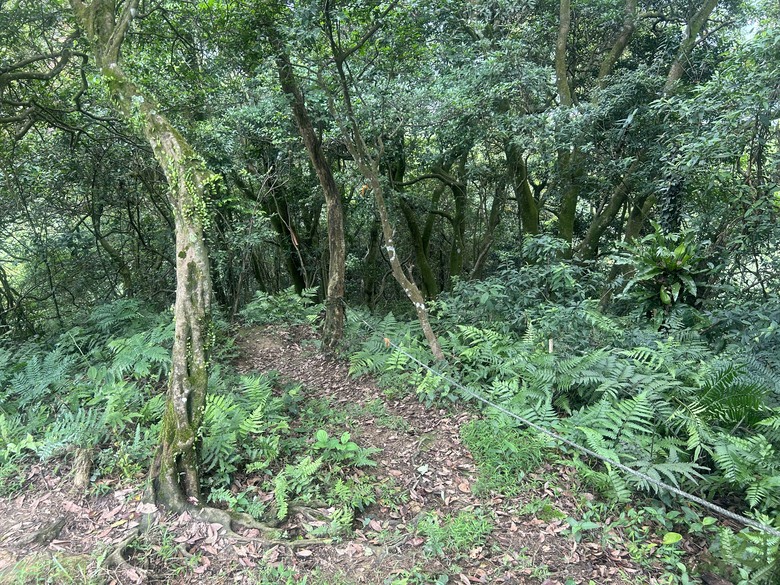 比百岳石門山更難的小百岳-桃園石門山步道