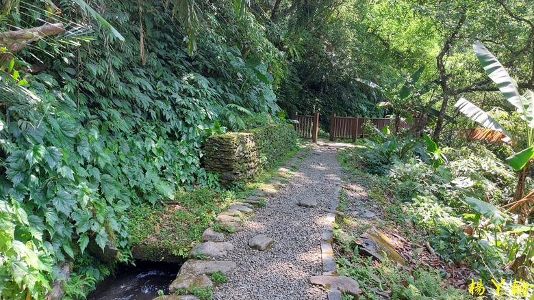 【郊山走走】烏來蝴蝶公園消暑愜意、輕鬆健行溪瀧步道、古圳步道