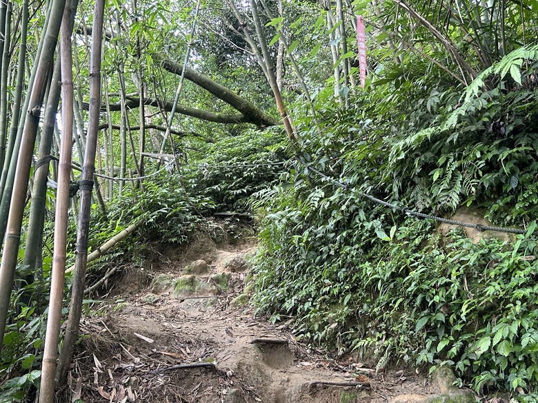 比百岳石門山更難的小百岳-桃園石門山步道