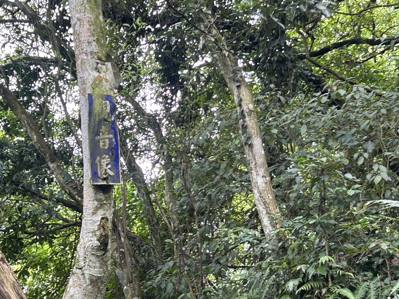 比百岳石門山更難的小百岳-桃園石門山步道