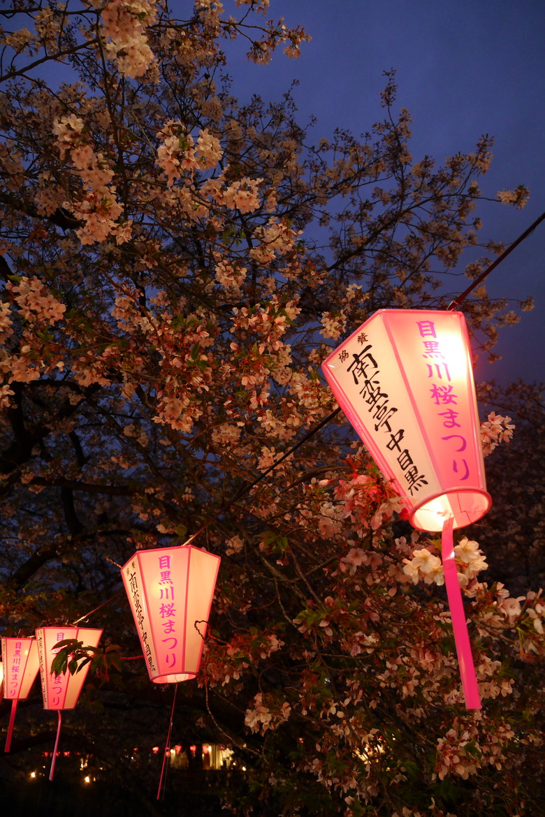 9年前的東京自助行 1