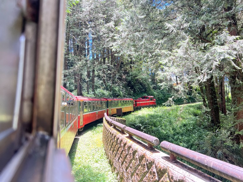 【阿里山開箱】搭神木線森林小火車 × 漫步巨木群步道 ｜走進檜木森林與時光的深處