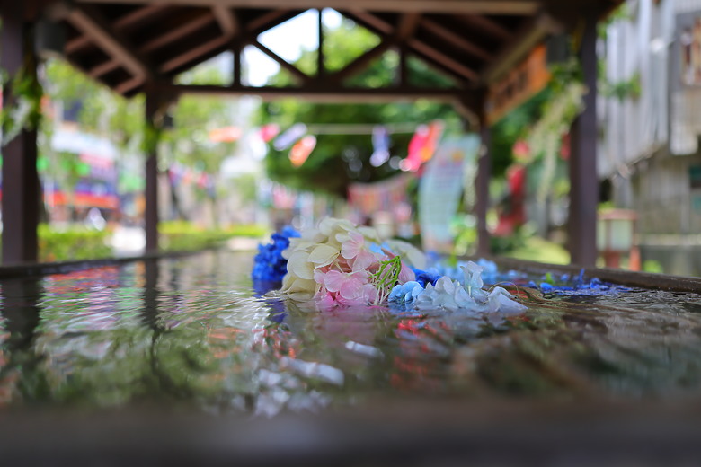 點我看大圖 Canon RF 20mm f/1.4L VCM 評測報告|開闊視野、攝錄混合一把罩!