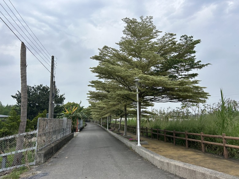 騎 趣 雲 林 ( 林 內 篇 ) 上 集