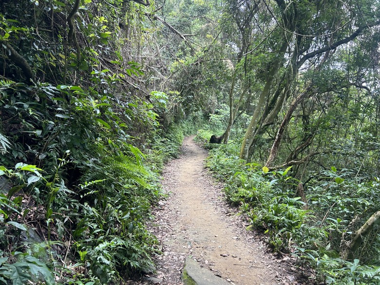 比百岳石門山更難的小百岳-桃園石門山步道