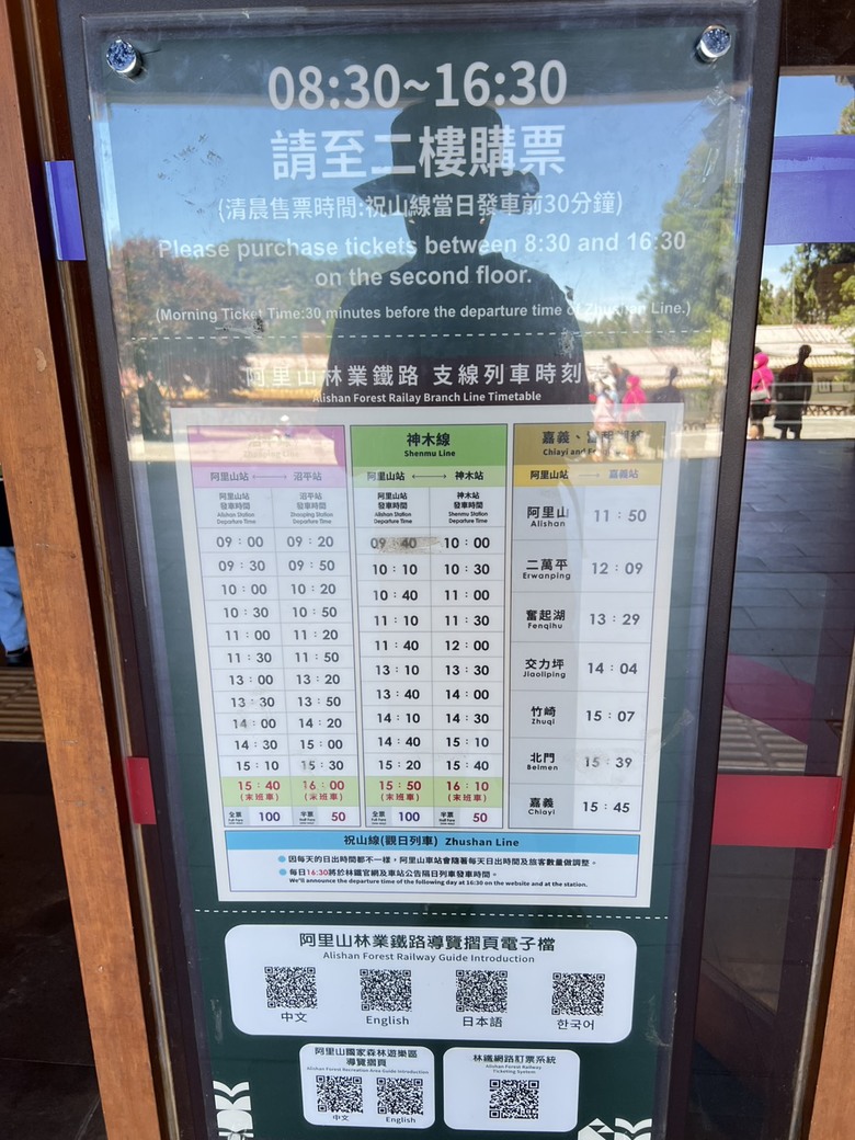 【阿里山開箱】搭神木線森林小火車 × 漫步巨木群步道 ｜走進檜木森林與時光的深處