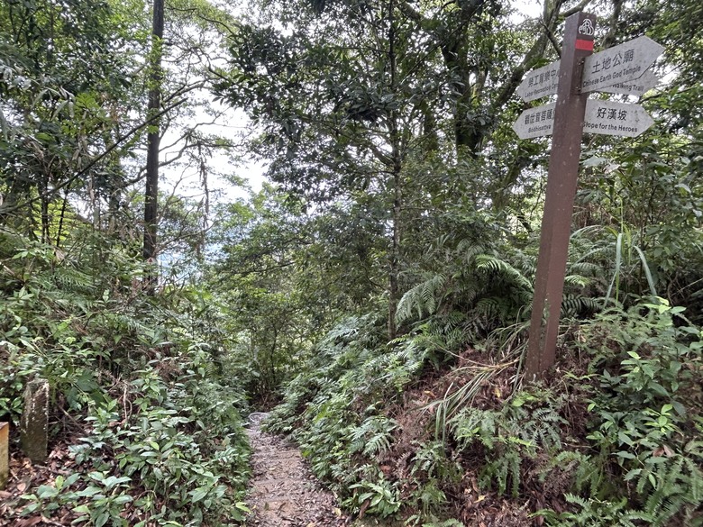 比百岳石門山更難的小百岳-桃園石門山步道