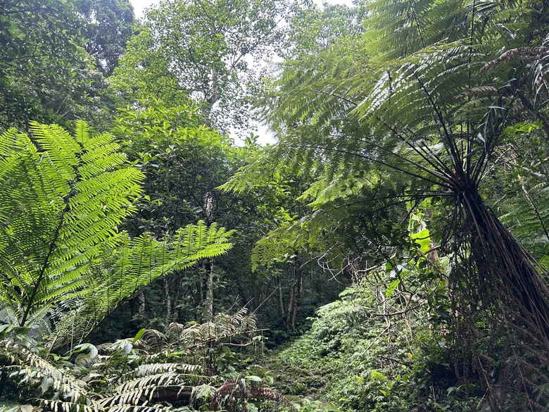 比百岳石門山更難的小百岳-桃園石門山步道