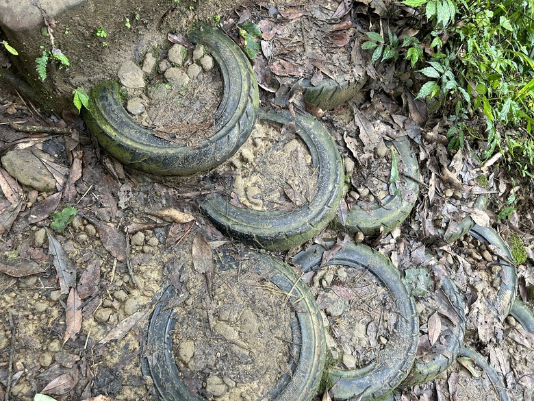 比百岳石門山更難的小百岳-桃園石門山步道