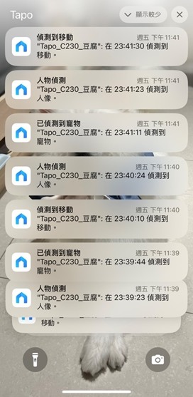 TP-Link Tapo C230 室內旋轉型 Wi-Fi 攝影機使用心得