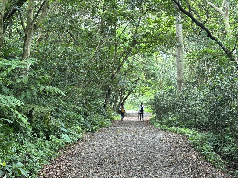 比百岳石門山更難的小百岳-桃園石門山步道