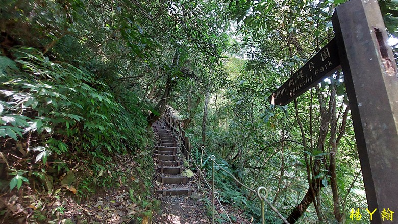 【郊山走走】烏來蝴蝶公園消暑愜意、輕鬆健行溪瀧步道、古圳步道