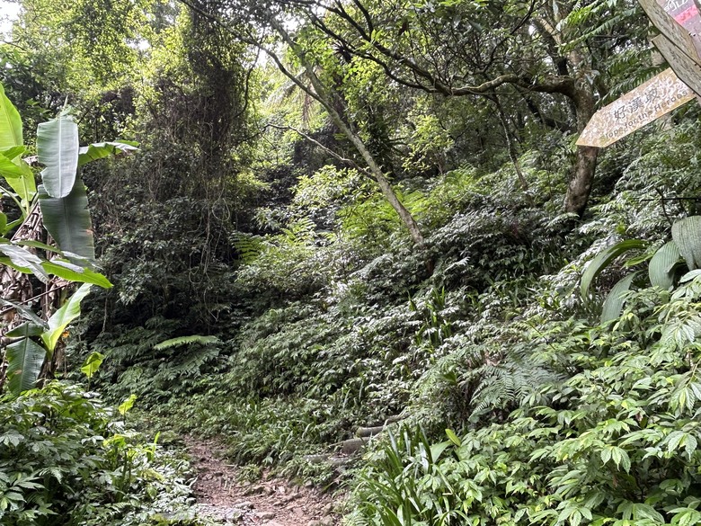 比百岳石門山更難的小百岳-桃園石門山步道