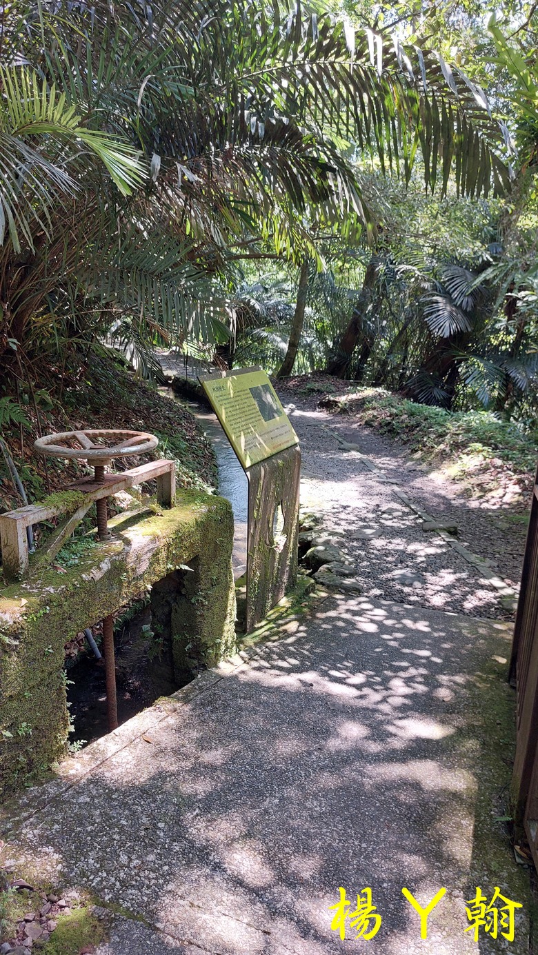 【郊山走走】烏來蝴蝶公園消暑愜意、輕鬆健行溪瀧步道、古圳步道
