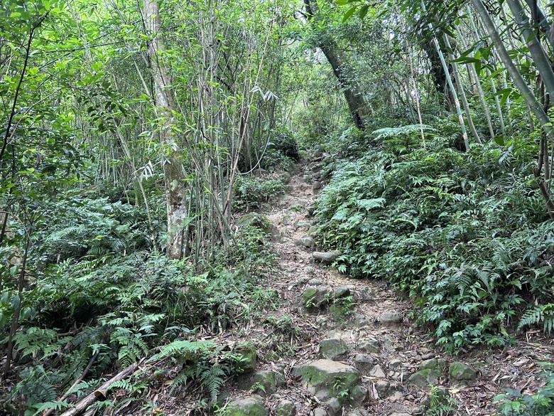 比百岳石門山更難的小百岳-桃園石門山步道