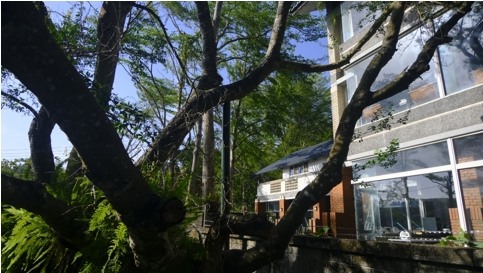 悠閒自在的高雄住宿首選“明山莊”| 森林系包棟民宿推薦 , 位置近義大遊樂園