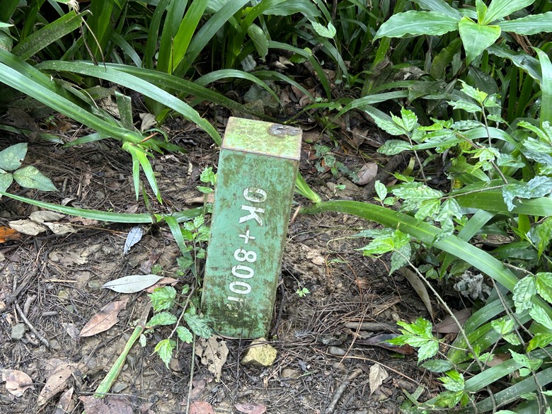 比百岳石門山更難的小百岳-桃園石門山步道