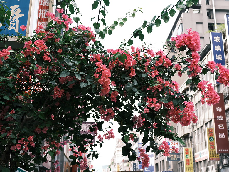 點我看大圖 FUJIFILM GFX100 RF 評測報告|為構圖加上轉盤、畫素破億的中判隨身機!
