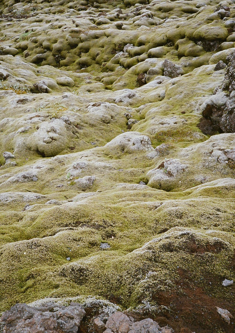 Pentax 17 旅行分享