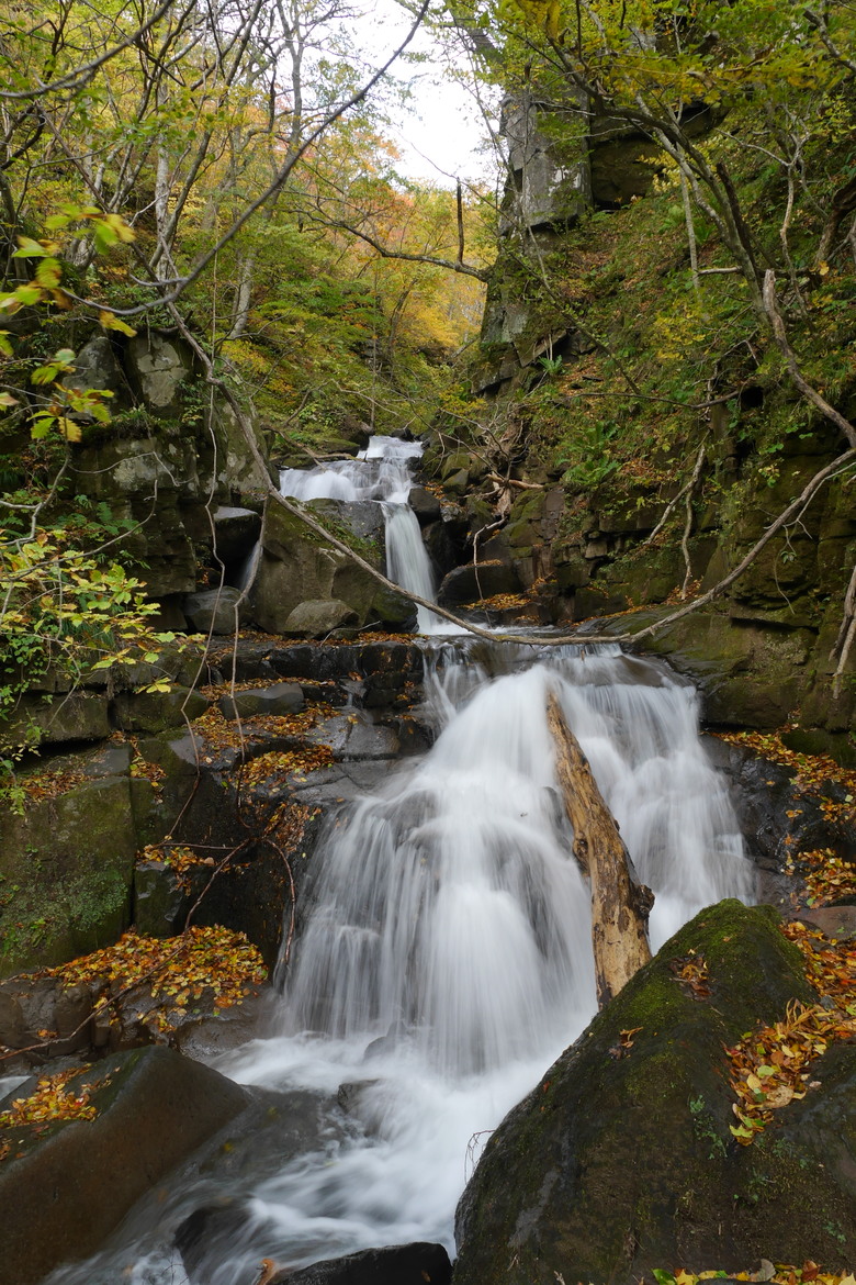日本東北行 山形進青森出