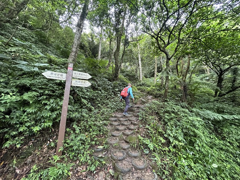 比百岳石門山更難的小百岳-桃園石門山步道