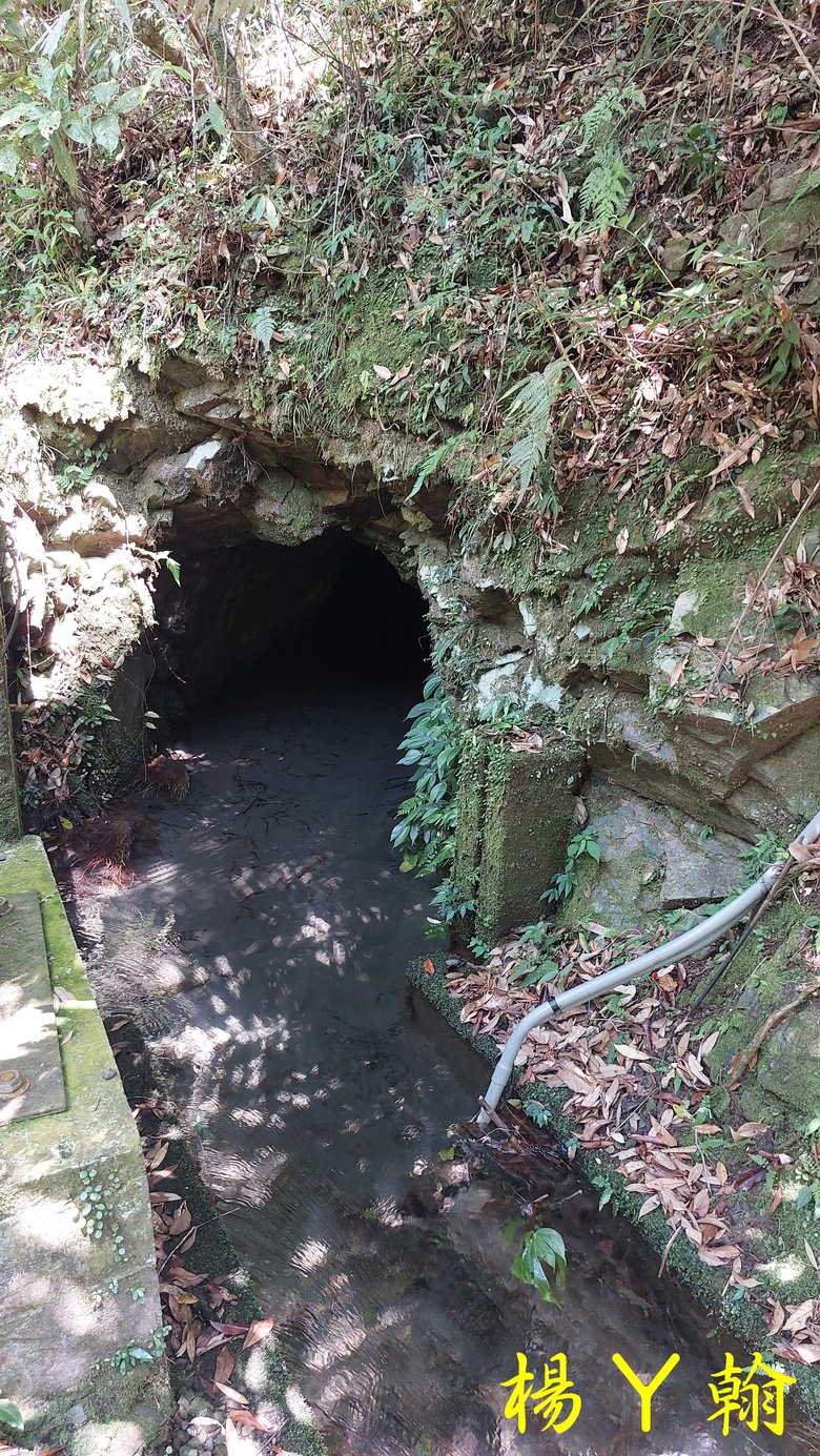 【郊山走走】烏來蝴蝶公園消暑愜意、輕鬆健行溪瀧步道、古圳步道
