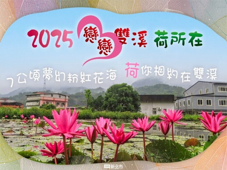 2025雙溪荷花季│7公頃綠田粉蓮海 邀你來場夏日田園派對！