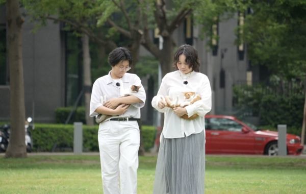 全盲貓奇蹟重生!「天使姐姐」堅持收編:是牠們拯救我們