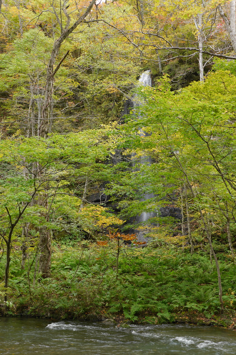 日本東北行 山形進青森出