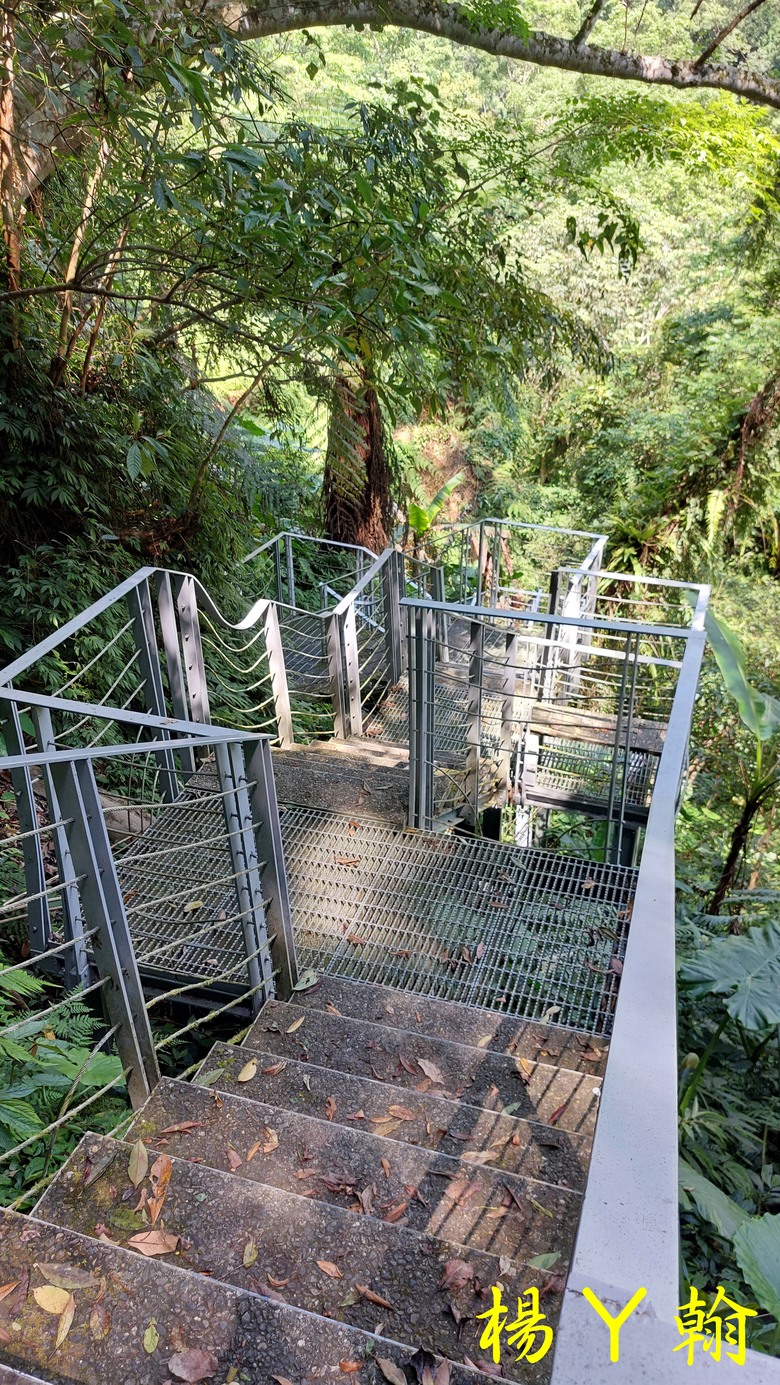 【郊山走走】烏來蝴蝶公園消暑愜意、輕鬆健行溪瀧步道、古圳步道