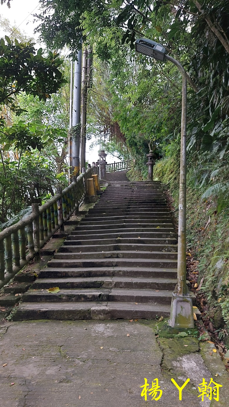 【郊山走走】北市近郊親子健行步道 仙跡岩