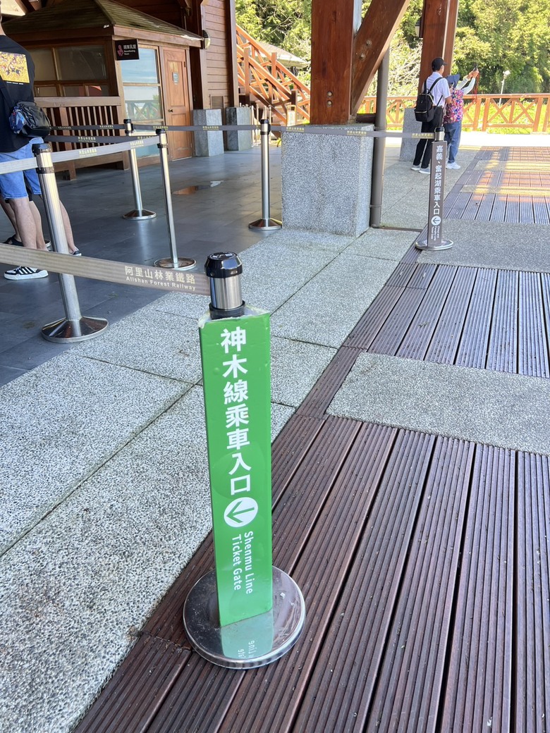 【阿里山開箱】搭神木線森林小火車 × 漫步巨木群步道 ｜走進檜木森林與時光的深處