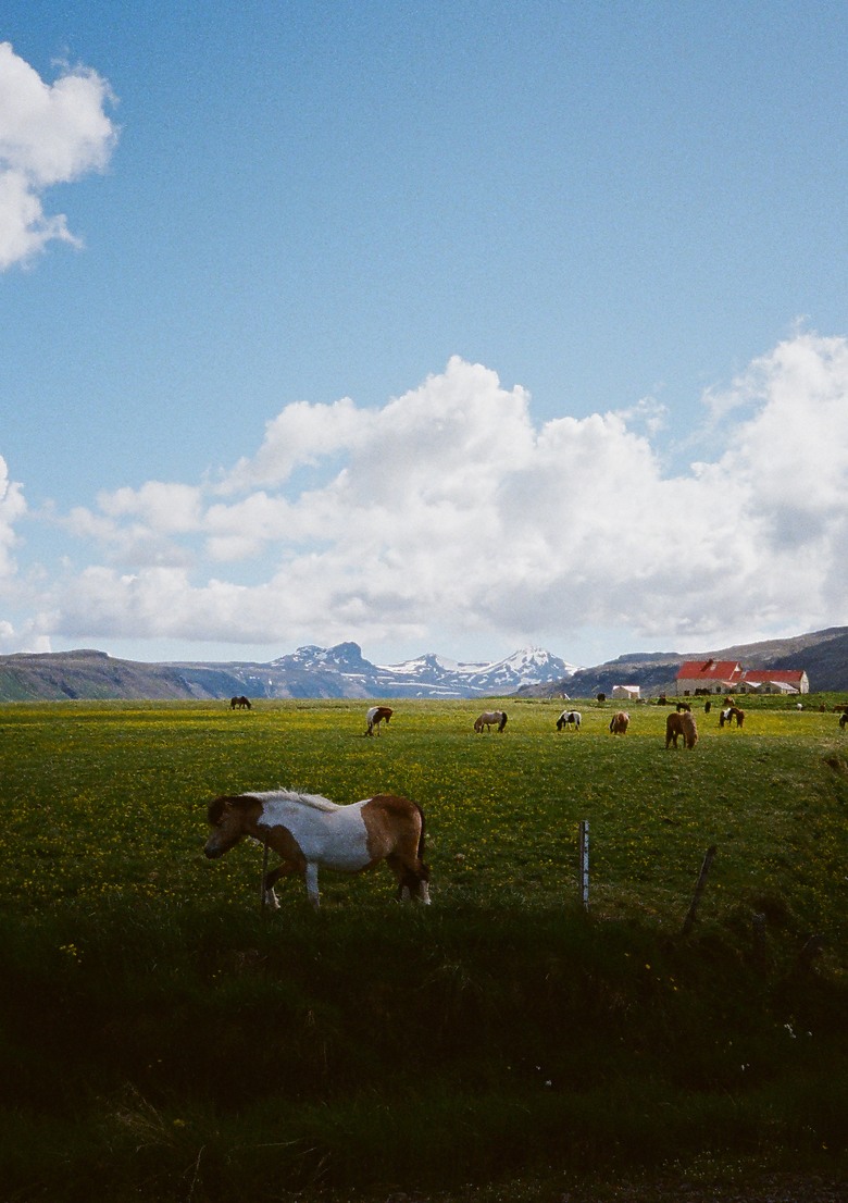 Pentax 17 旅行分享