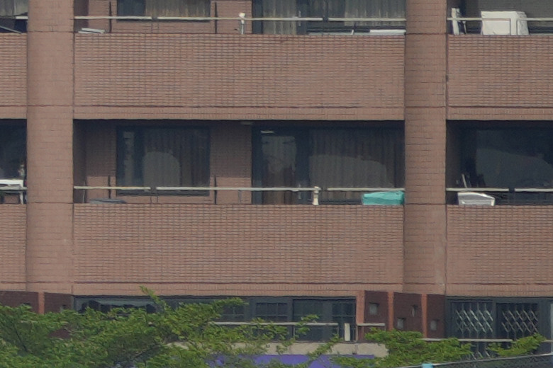 Sigma 300-600mm f/4 DG OS Sports 評測報告｜超望遠內變焦新標竿、一鏡封神誰與爭鋒！