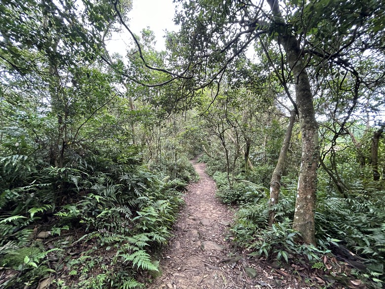 比百岳石門山更難的小百岳-桃園石門山步道